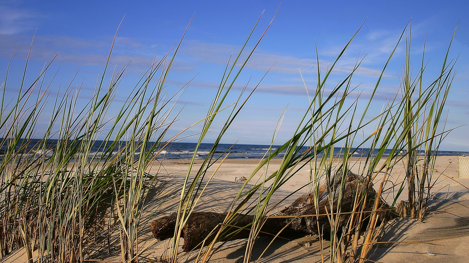 Plaża i okolica 4